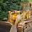 1989-caterpillar-963-image-7