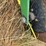 john-deere-885-image-13