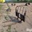 euro-style-pallet-forks-image-1