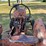 1955-allis-chalmers-wd45-image-16