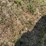 john-deere-693-image-11