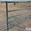 livestock-panel-12'-x-5'-image-13