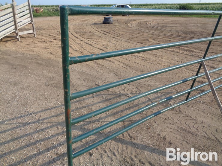 livestock-panel-12'-x-5'-image-13