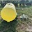 agri-products-300-image-8