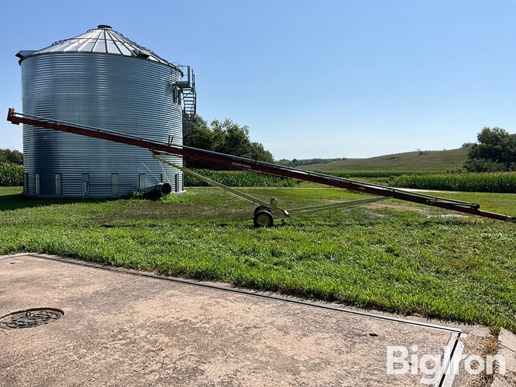 buhler-farm-king-861-image-4