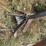 john-deere-885-image-17