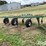 flex-king-km-image-6