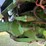 1977-john-deere-4230-image-16