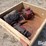 case-ih-1680-image-3