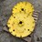 john-deere-rear-cast-wheels-image-4