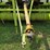 claas-rollant-250rc-image-17