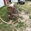 deere-tires-image-4