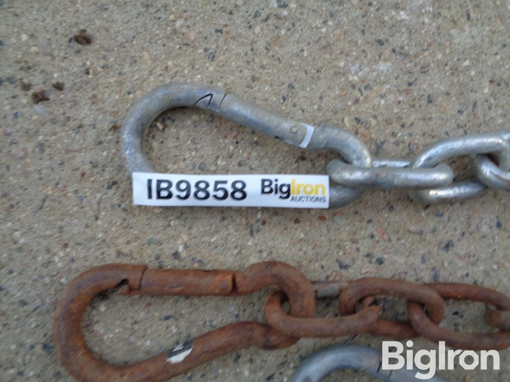 cattle-gate-chains-qty-12-image-11