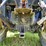 2014-new-holland-boomer-47-image-7