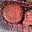 #2629-•-international-d-7e-dozer-|-for-parts/repairs-image-6