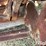 bobcat-s770-image-13