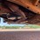2013-dodge-1500-image-44