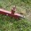 ficklin-435-image-10