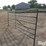 livestock-panel-12'-x-5'-image-3