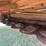 massey-ferguson-1372-image-9