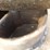 cattle-mineral-feeder-image-15