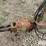 john-deere-726-image-15