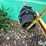 enduraplas-vertical-storage-tank-image-9