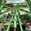 john-deere-2623-image-17