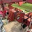 case-ih-1830-image-15