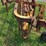 new-holland-57-image-14