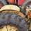 massey-ferguson-20-image-16