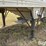 1998-timpte-hopper-grain-trailer-image-12