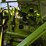 claas-rollant-250rc-image-27