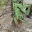 john-deere-885-image-15