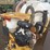 vermeer-mx240-image-11