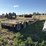 1979-transport-pfgtx-t1-35dw-tri/a-folding-neck-lowboy-image-5