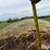 john-deere-569-image-14