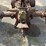 john-deere-a-image-9