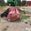m-c-2408sb-8r30-flail-stalk-shredder-image-4
