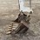 bobcat-325-image-8
