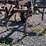 #642-•-glenco-16'-field-cultivator-with-drag-(mason,-wi)-image-18