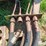 parker-grain-buggy-image-12