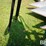 new-idea-324-image-15