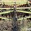 john-deere-12-image-12