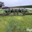 glencoe-soil-saver-image-6