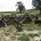 glencoe-soil-saver-image-2