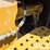 2016-caterpillar-140m3-awd-image-38