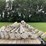 chore-time-adjustable-drop-feeders-image-2