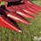 2015-case-ih-4406-image-19
