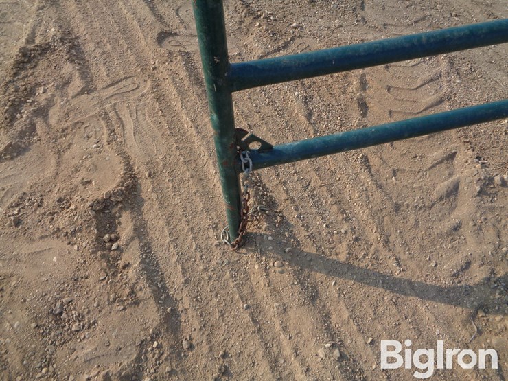 livestock-panel-12'-x-5'-image-11